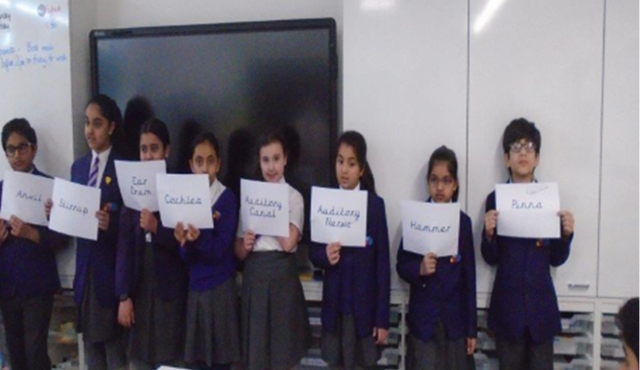 Blog Header Image