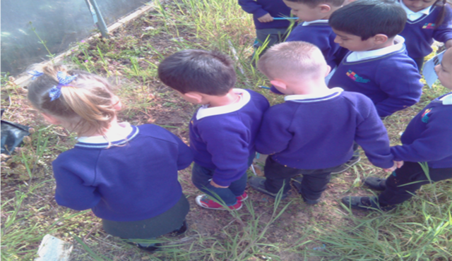 Blog Header Image