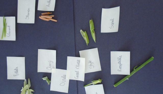 Blog Header Image
