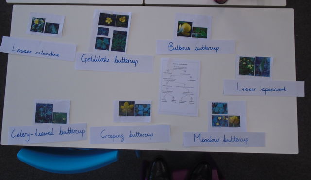 Blog Header Image