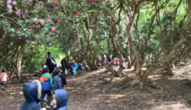 Blog Header Image