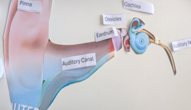 Blog Header Image